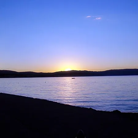 Sara Малинска