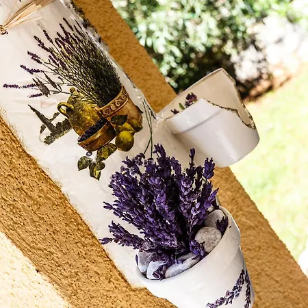 Sara Апартаменты *