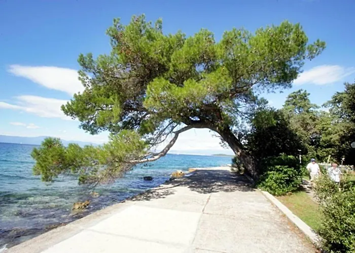 Sara Appartamento Malinska